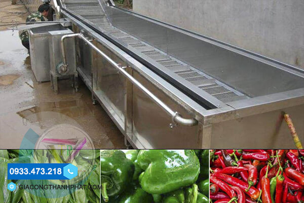 Máy rửa rau củ inox công nghiệp Máy rửa rau củ inox công nghiệp