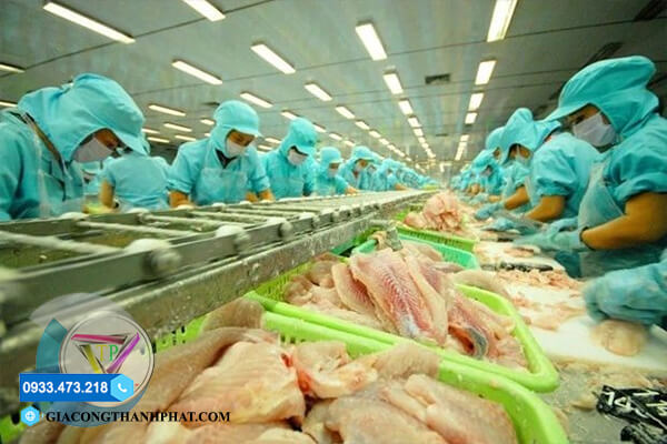 Băng tải fillet cá giá rẻ