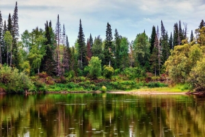 Wildnis in Sibirien