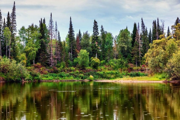 Wildnis in Sibirien