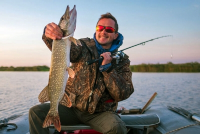 Angler, der in einem Boot sitzt,  hält den Hechtfisch (Esox-lucius)