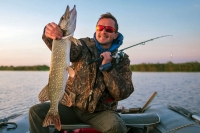 Angler, der in einem Boot sitzt,  hält den Hechtfisch (Esox-lucius)