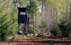 Jäger-Hochsitze im Wald