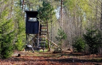 Jäger-Hochsitze im Wald